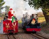 Festive Express