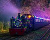 Noel Night Train