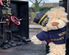 Teddy Bear Express