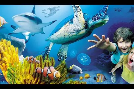 Top ten British aquariums