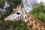 Zoos & Safari Parks in Worcestershire