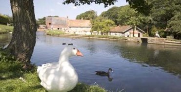 Calbourne Water Mill