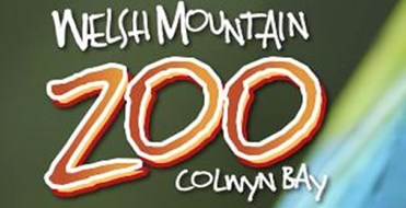 Welsh Mountain Zoo